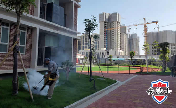 富阳区工厂工地除白蚁