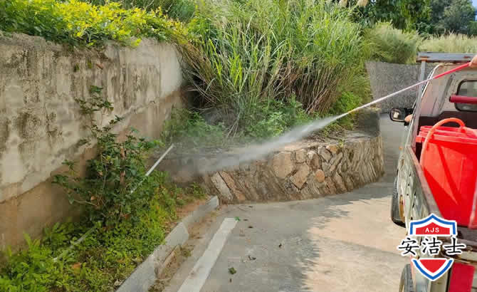 富阳区道路堤坝白蚁防治
