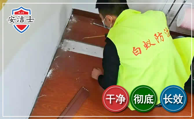 富阳区除四害现场