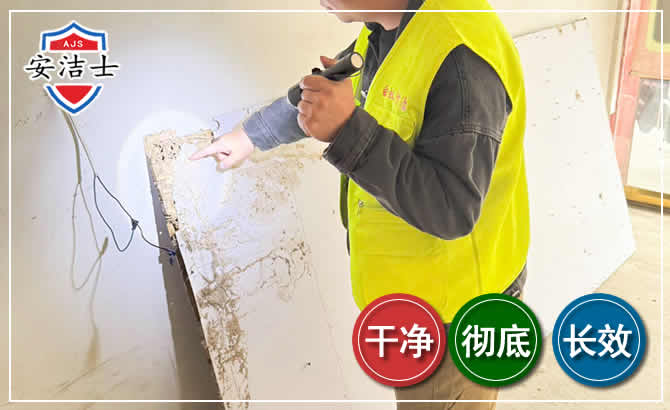 富阳区除白蚁现场