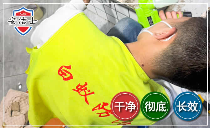 富阳区白蚁根治现场